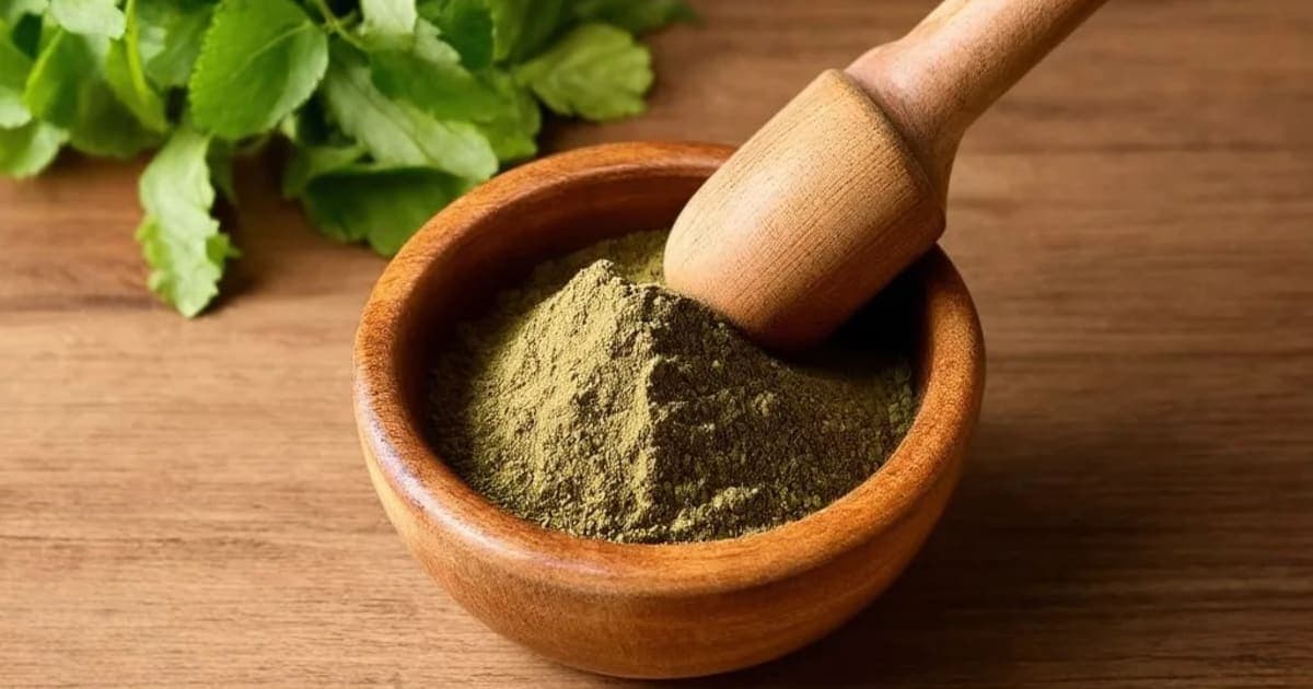 ਮੱਖੀ ਦਾ ਸ਼ਹਿਦ (Makshika Madhu) — ਆਯੁਰਵੈਦਿਕ ਜੜੀ-ਬੂਟੀ