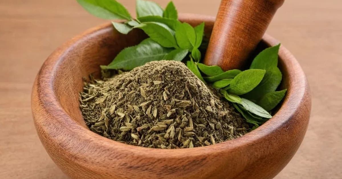 Dugdhika — Ayurvedic Herb