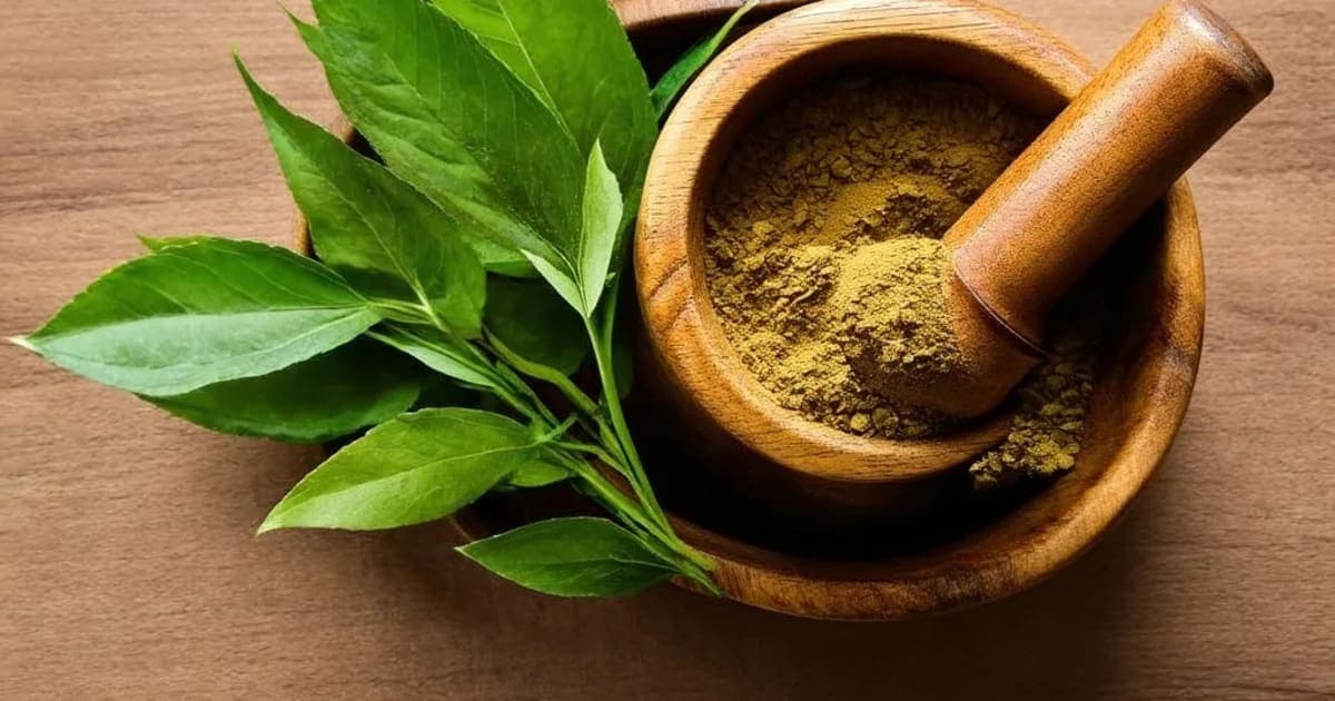 Snuhi — Ayurvedic Herb