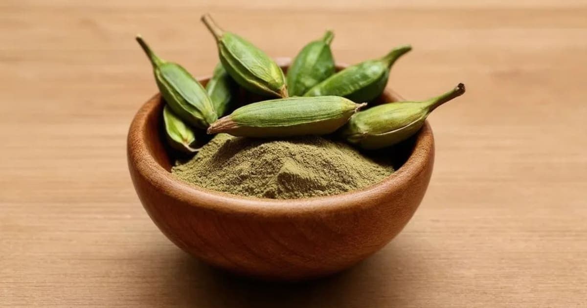 Ela — Ayurvedic Herb
