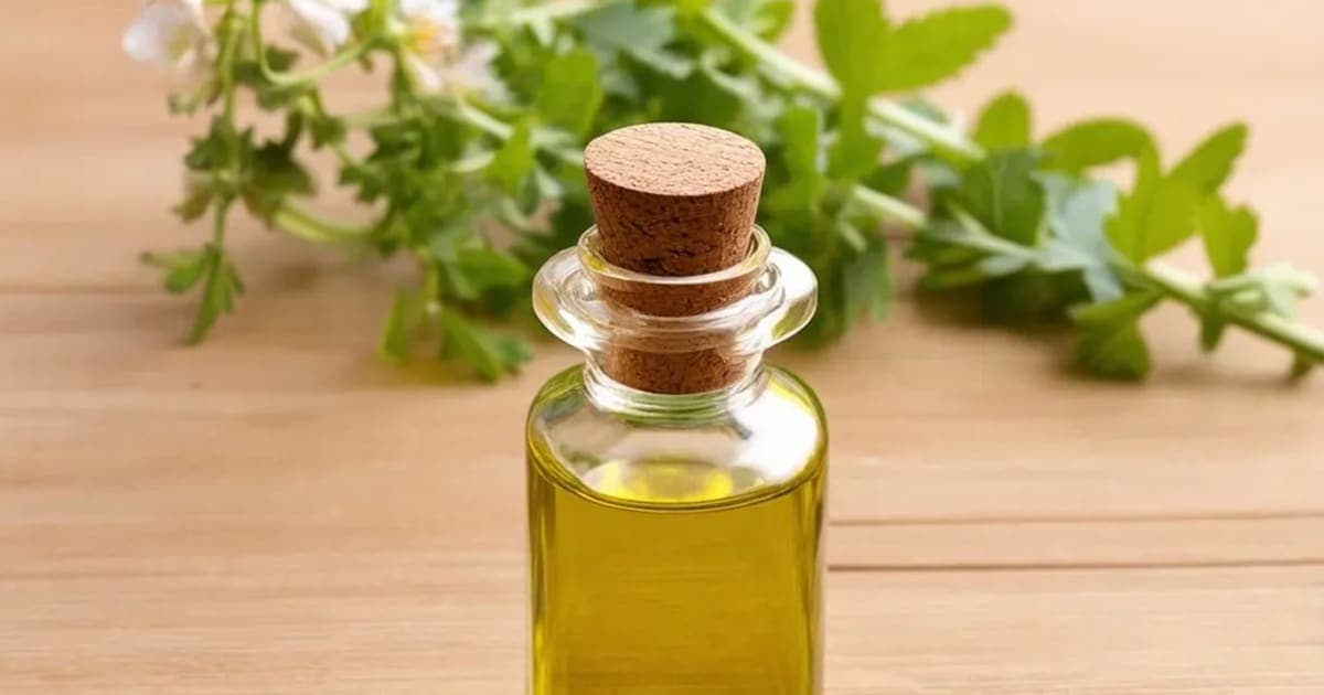 Tila Taila — Ayurvedic Herb