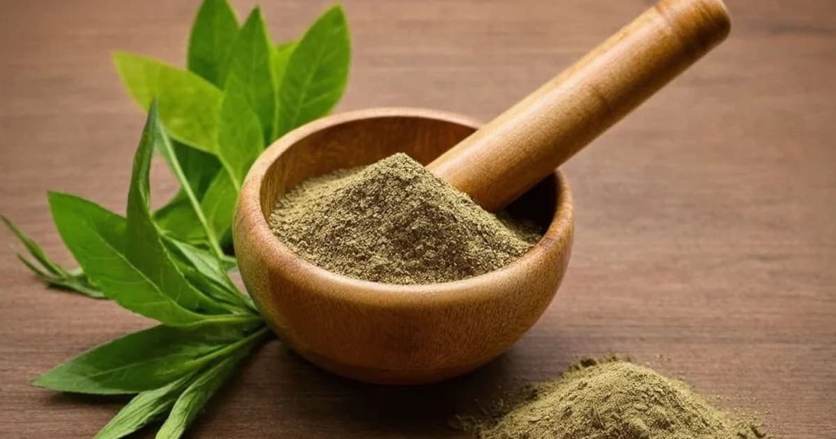 Tala (Palmyra Palm) — Ayurvedic Herb