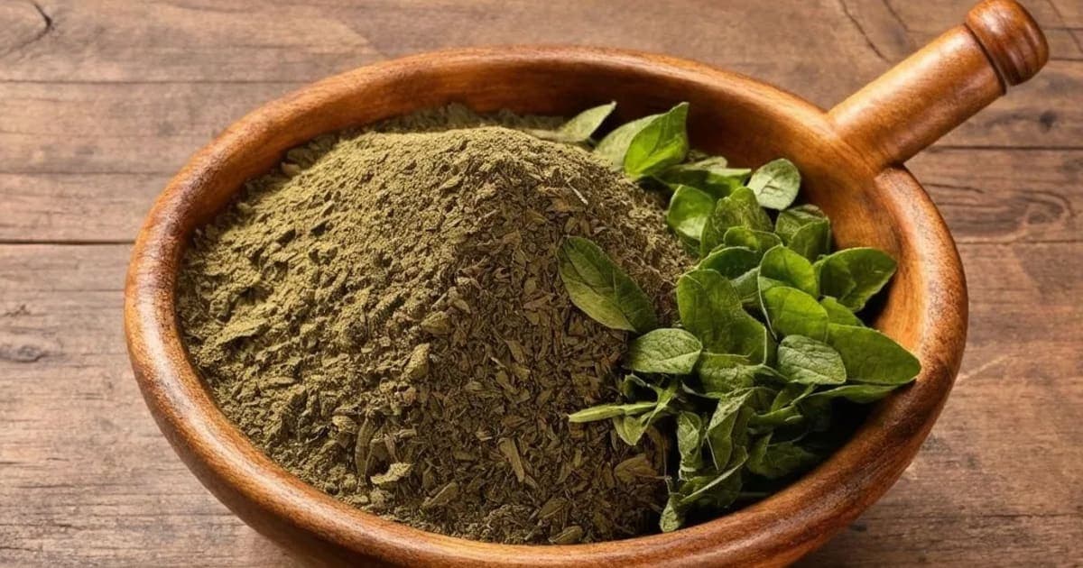 Lasuna Ksheerapaka — Ayurvedic Herb