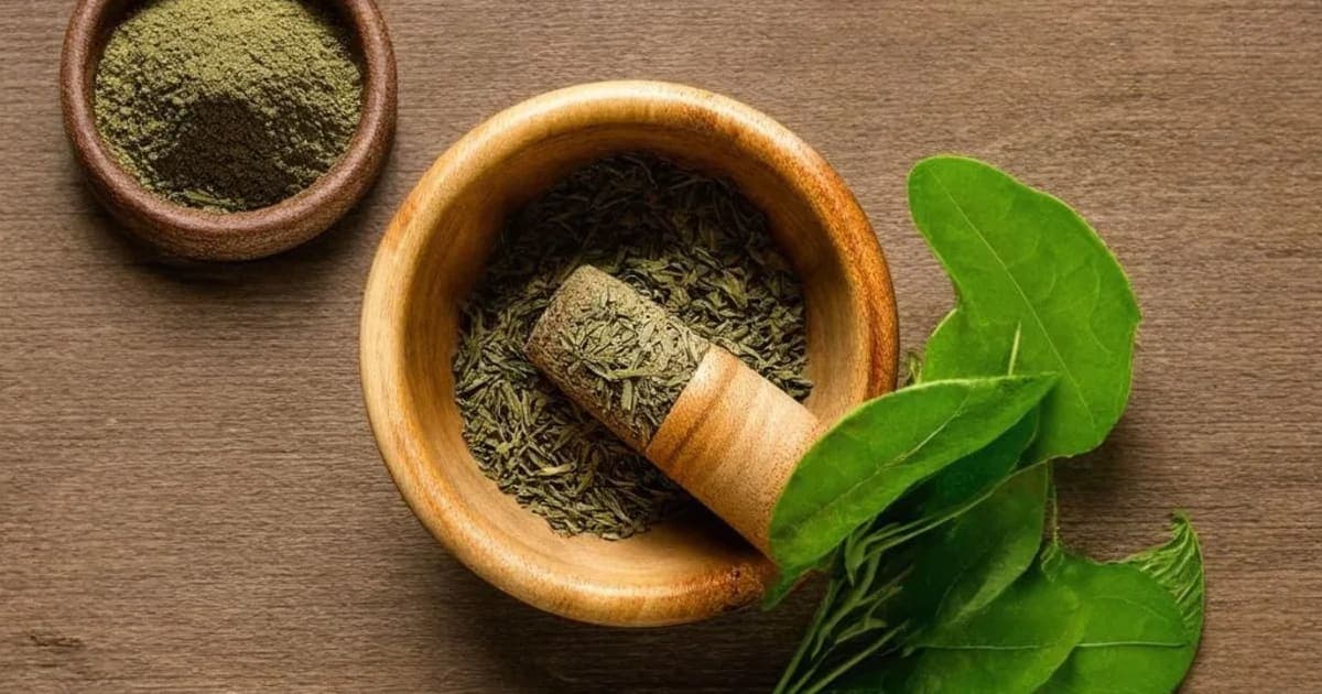 Gomutra — Ayurvedic Herb