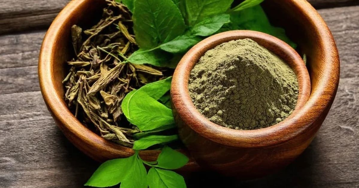Madhukarkati — Ayurvedic Herb