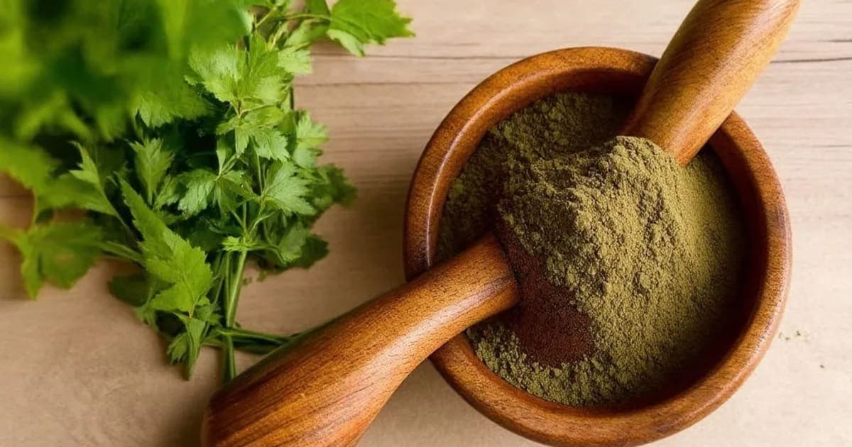 Satyanashi — Ayurvedic Herb