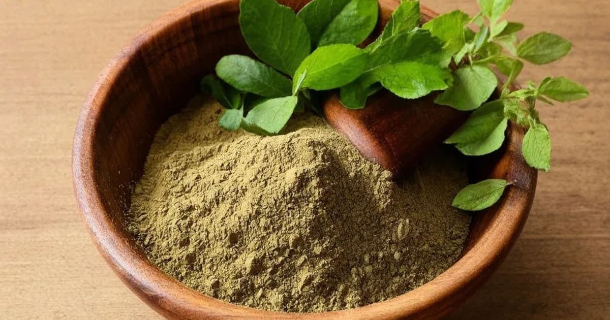 Panchagavya Ghrita — Ayurvedic Herb