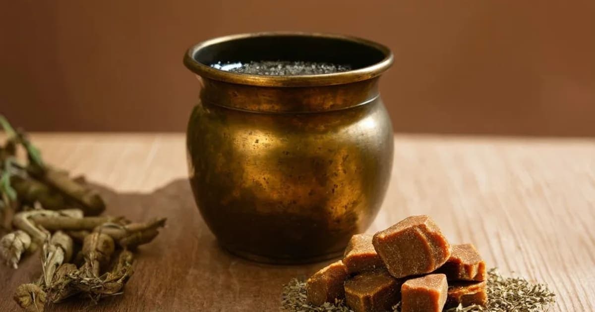 Lohasava — Ayurvedic Herb