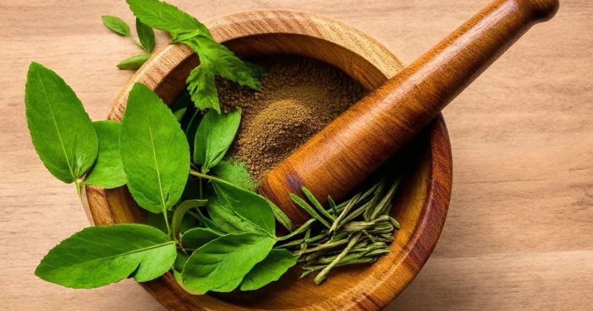 Indrayava — Ayurvedic Herb