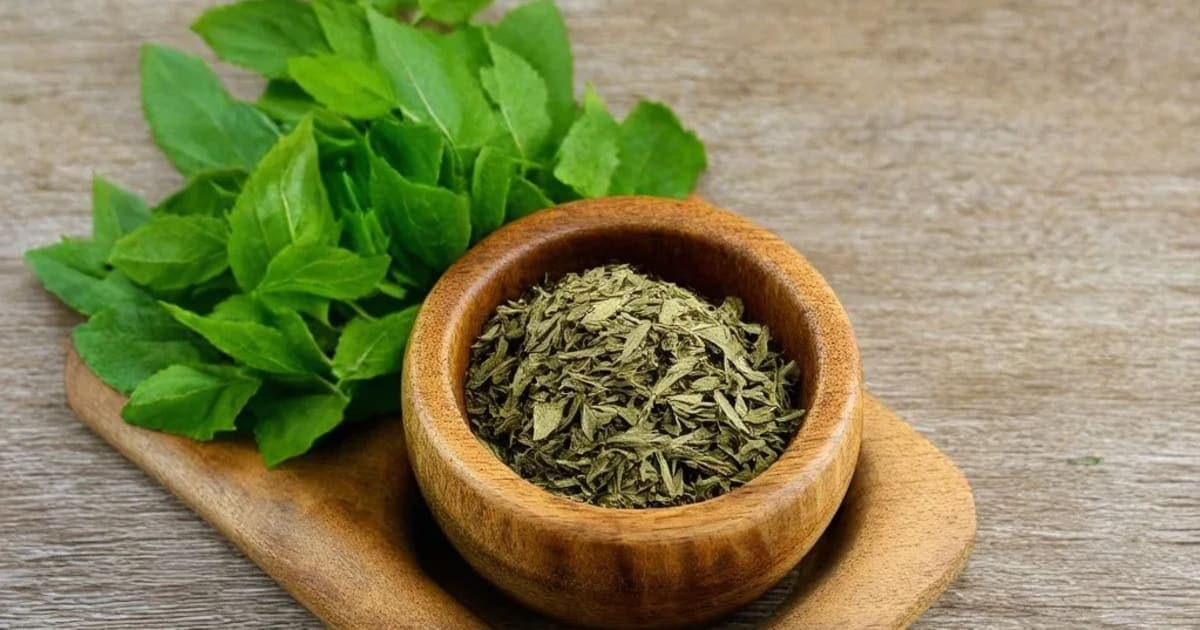 Bhumyamalaki — Ayurvedic Herb