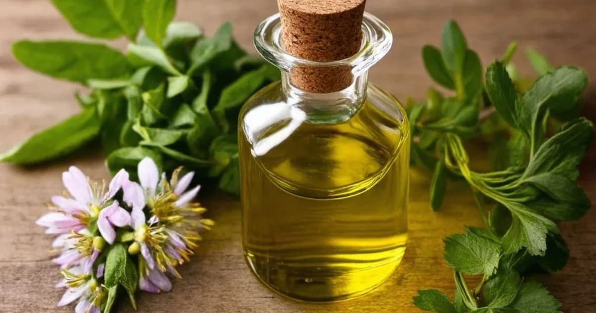 Masha Taila — Ayurvedic Herb