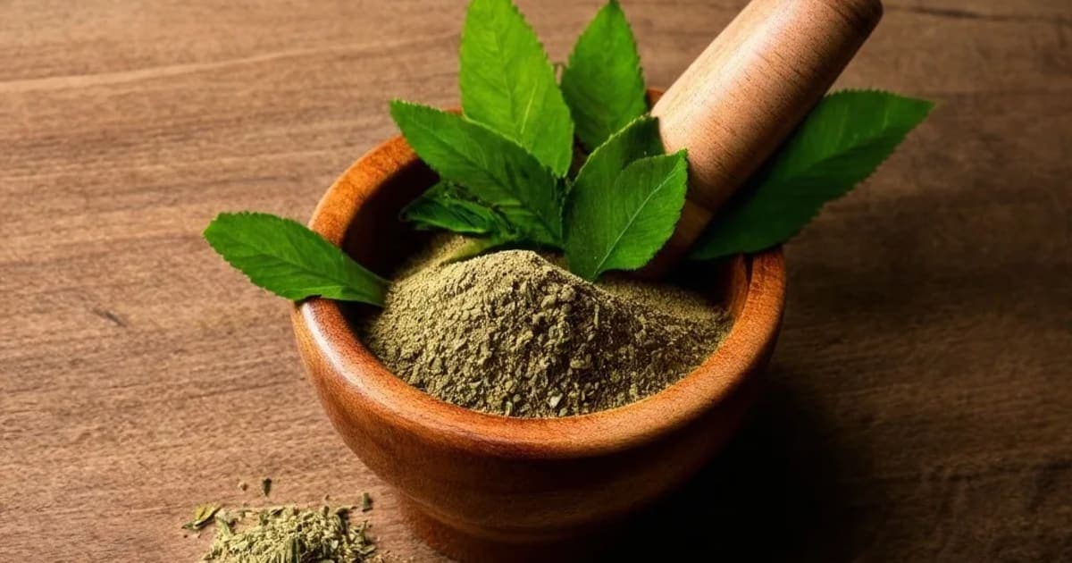 Dadima Twak — Ayurvedic Herb