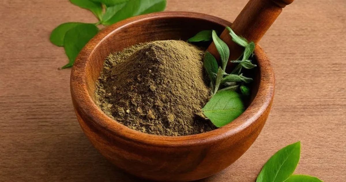 Bhadra (Aerva lanata) — Ayurvedic Herb