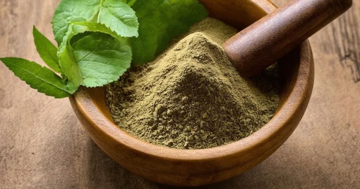 Indravaruni — Ayurvedic Herb