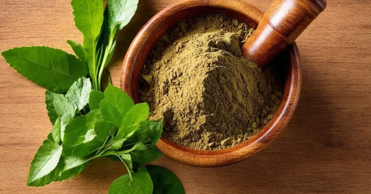 Pradarantak Lauh — Ayurvedic Herb