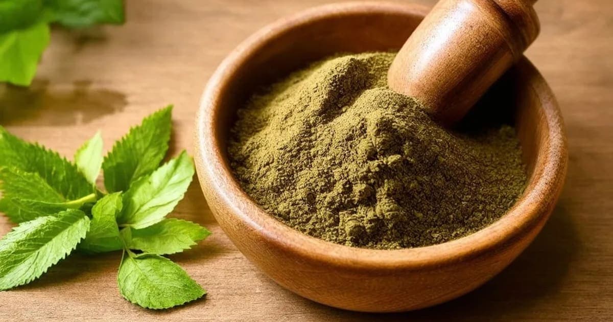 Dhattura — Ayurvedic Herb