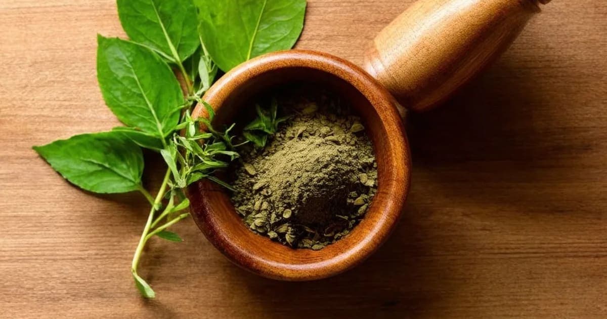 Ushirasva — Ayurvedic Herb