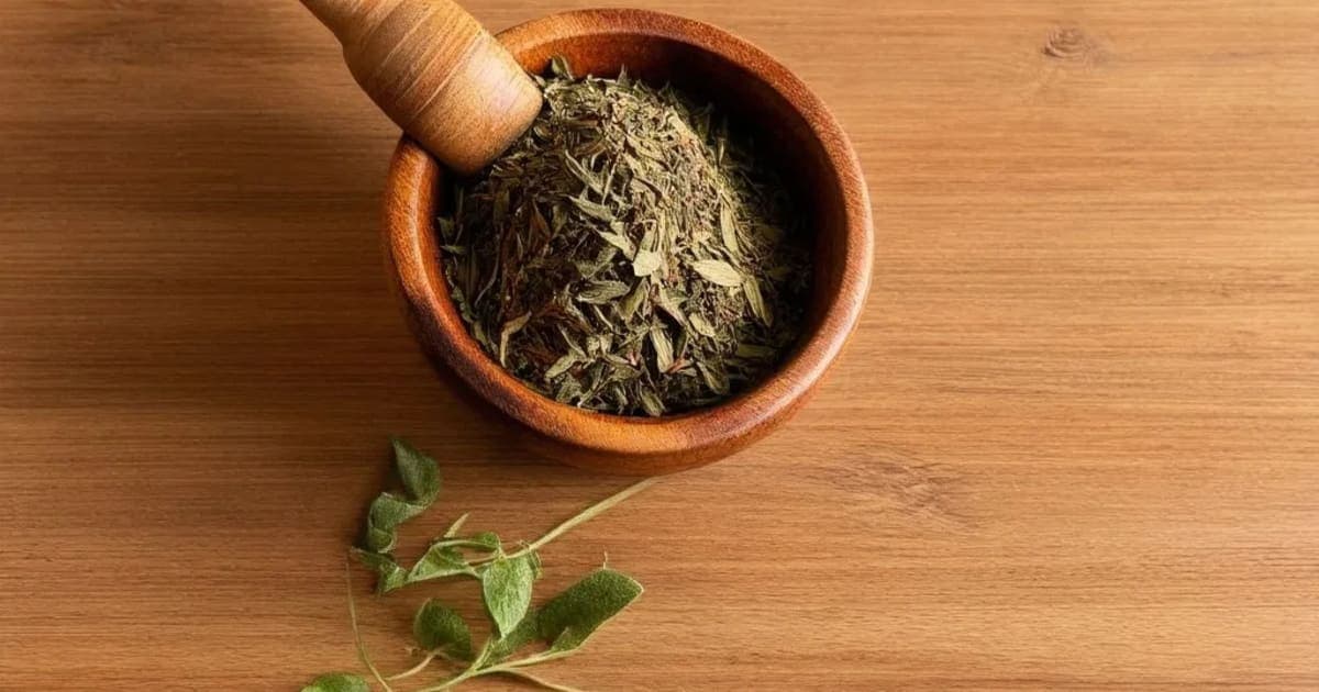 Yuthika (Jasminum officinale) — Ayurvedic Herb