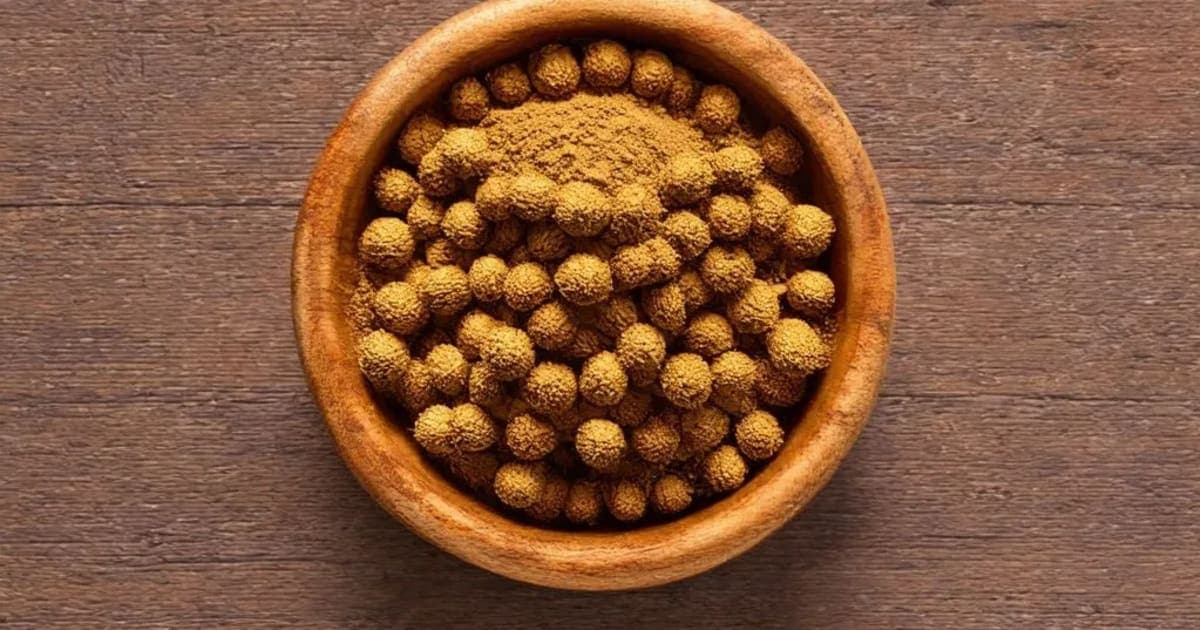 Pippali — Ayurvedic Herb