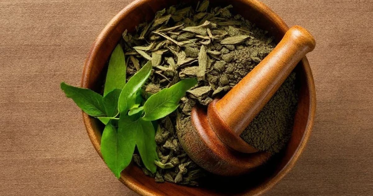 பரிபத்ரா (Paribhadra) — ஆயுர்வேத மூலிகை