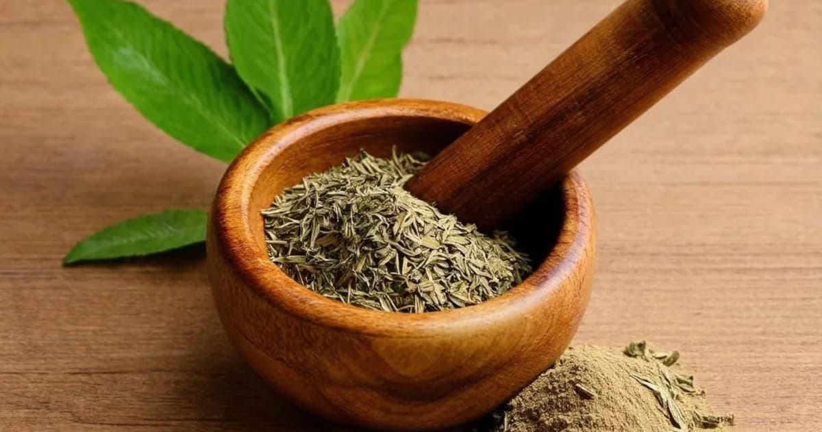 മണ്ഡുകപർണി ഗുണങ്ങൾ — ആയുർവേദ ഔഷധം