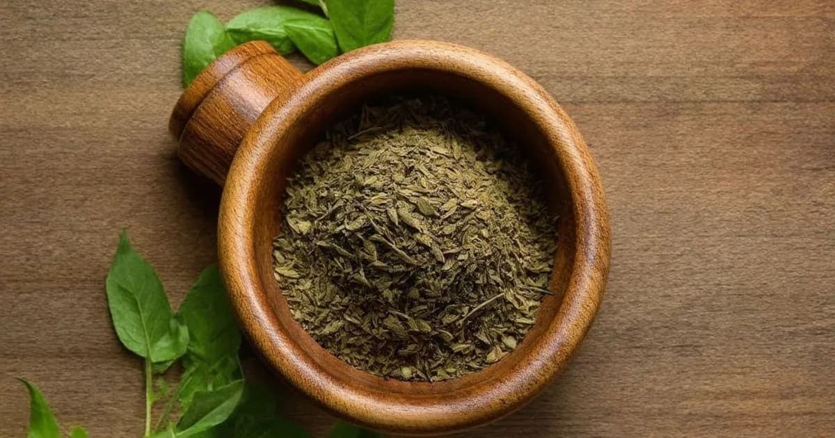 কস্তূরী — আয়ুর্বেদিক ভেষজ