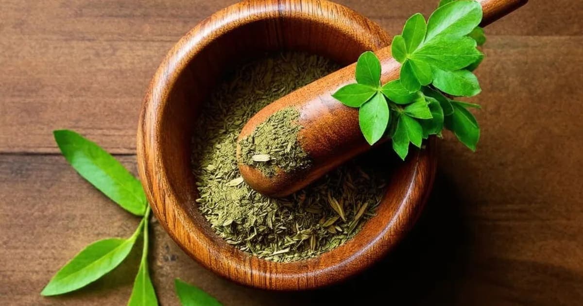 कोशाम्र — आयुर्वेदिक जड़ी-बूटी