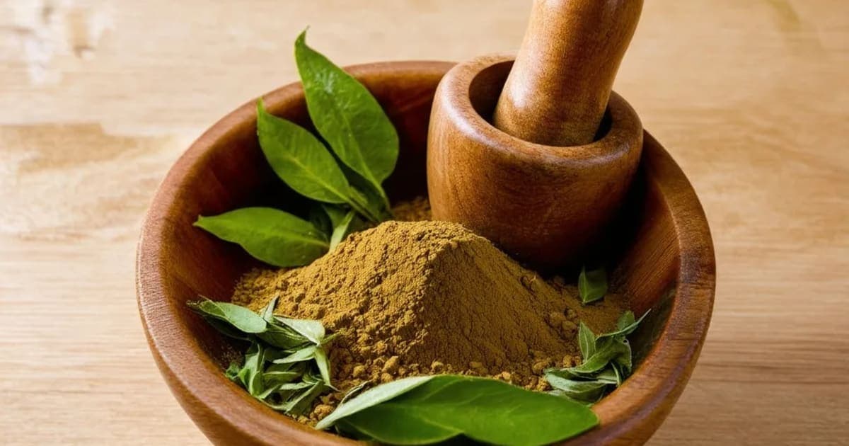 जाति — आयुर्वेदिक जड़ी-बूटी