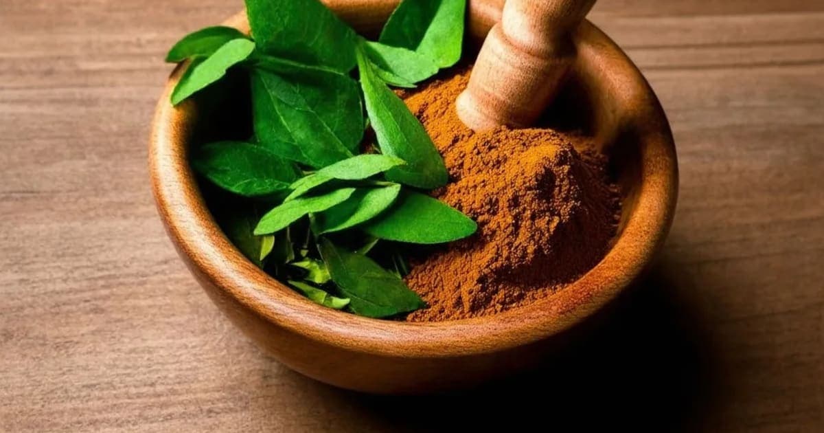 Mashaparni — आयुर्वेदिक जड़ी-बूटी