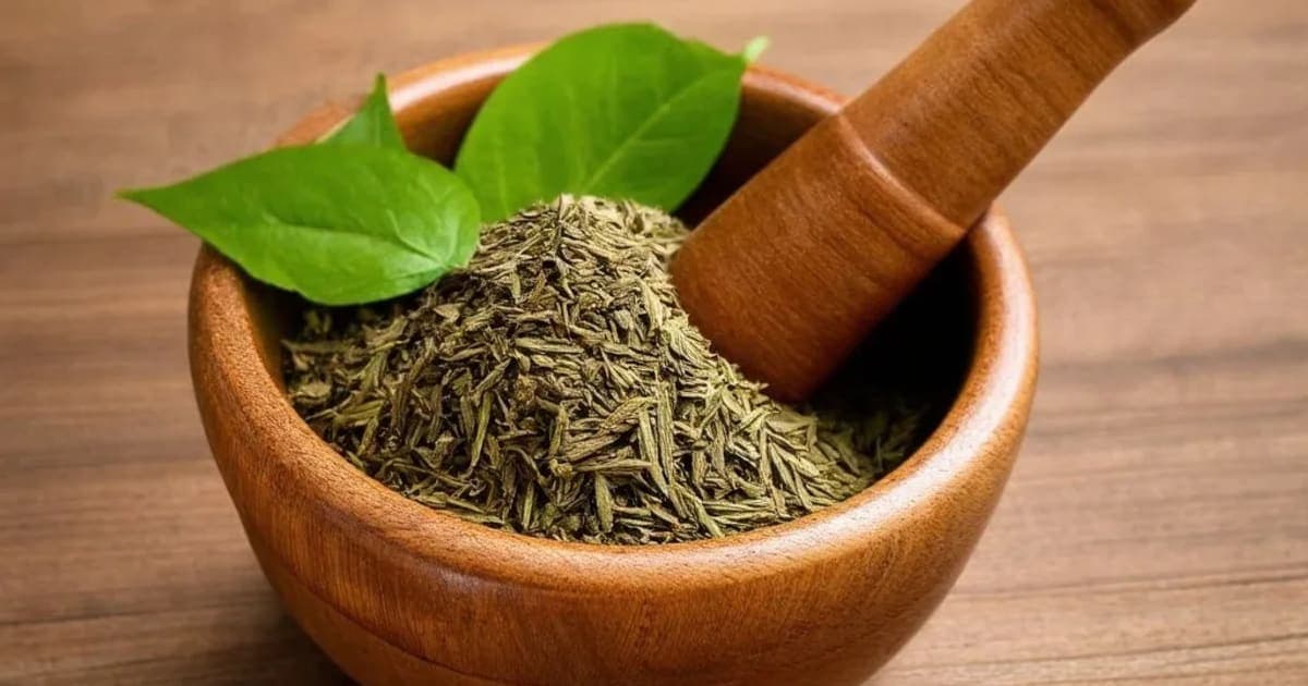 ಲೋಧ್ರಸ್ವ — ಆಯುರ್ವೇದ ಮೂಲಿಕೆ