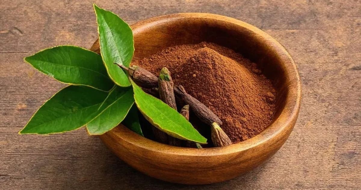 ಲವಂಗ — ಆಯುರ್ವೇದ ಮೂಲಿಕೆ