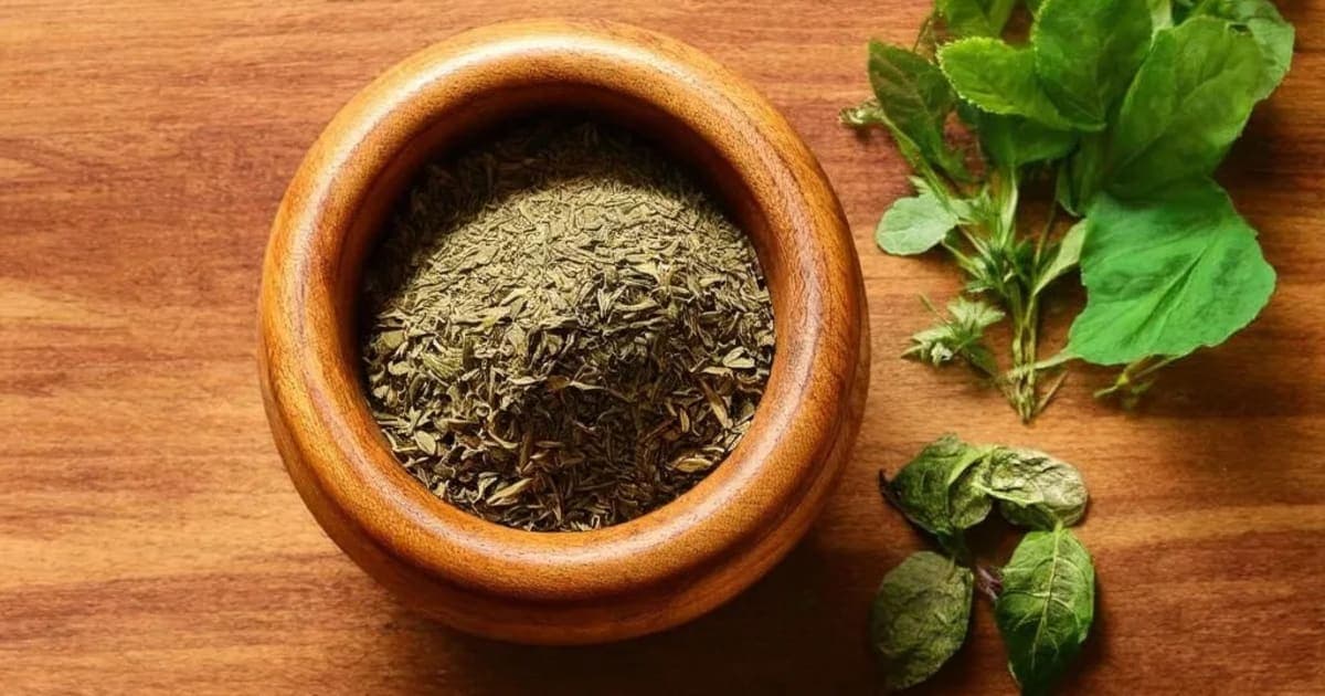 தயிர் (தாதி) — ஆயுர்வேத மூலிகை