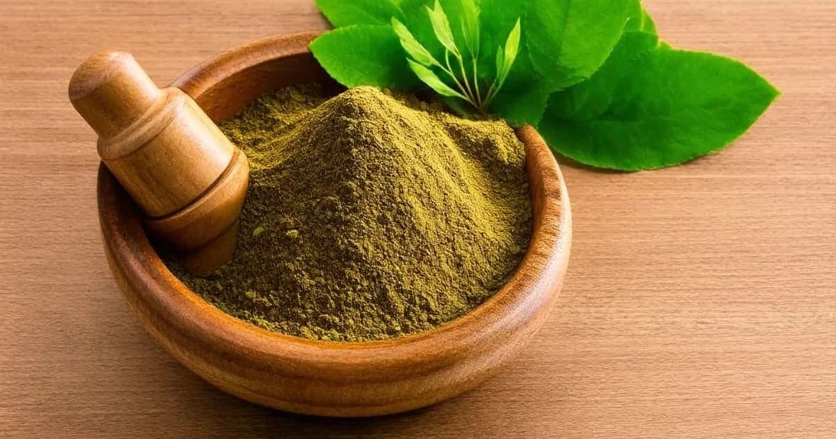 ஷோதாரி லோஹா — ஆயுர்வேத மூலிகை