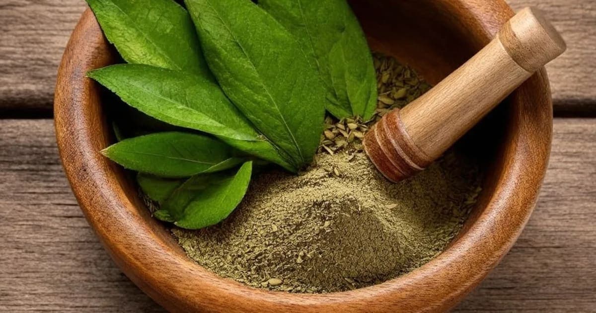 امرت پراش گھrita کے فائدے — آیورویدک جڑی بوٹی