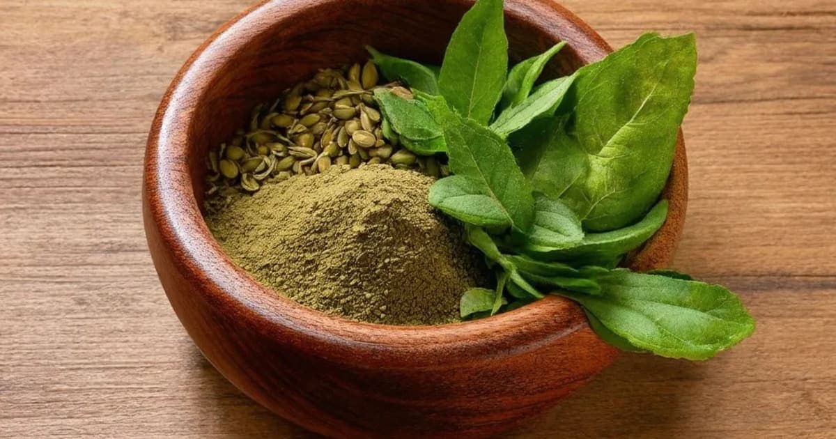 श्वेत मूसली — आयुर्वेदिक जड़ी-बूटी