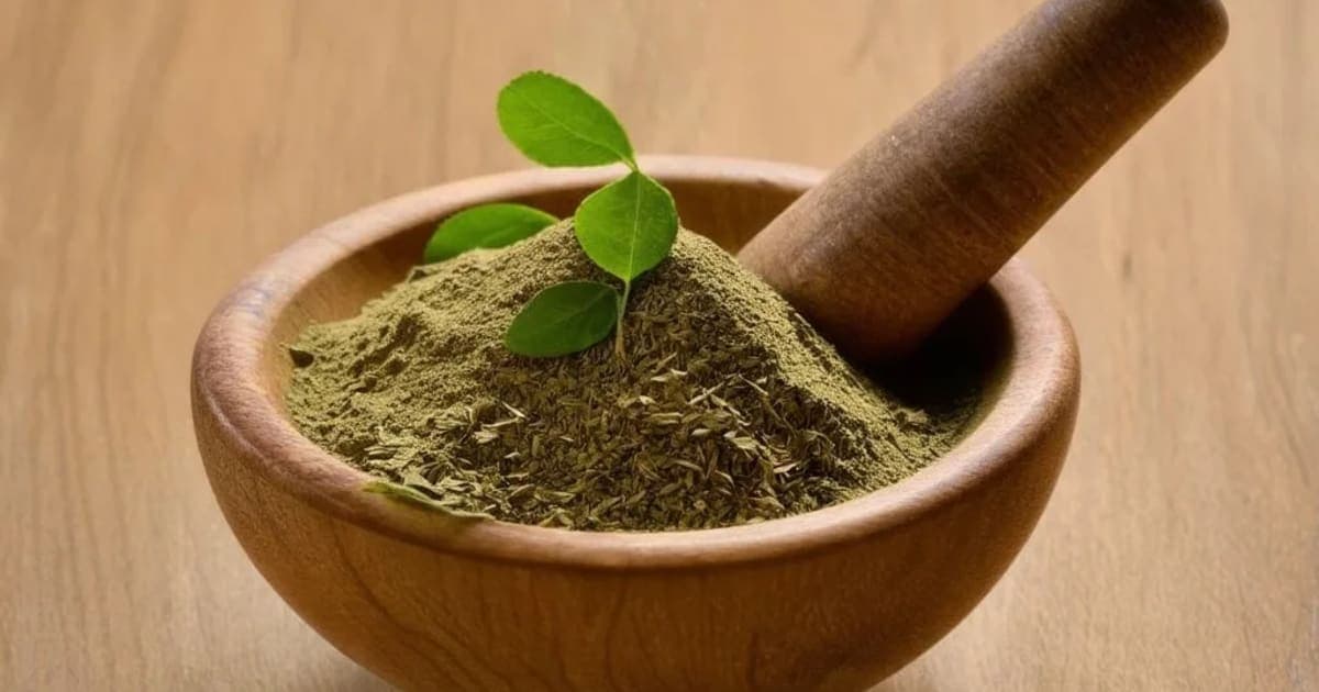 Yavasa — आयुर्वेदिक जड़ी-बूटी