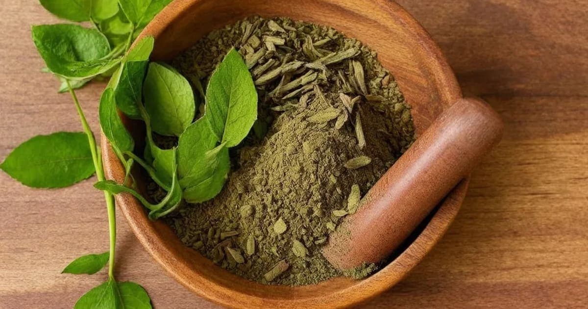 ब्राम्ह घृत — आयुर्वेदिक वनस्पती