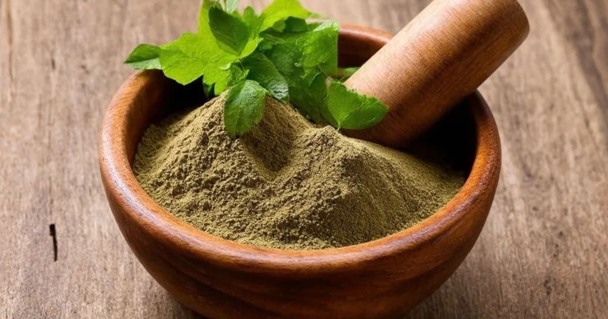 వాసావలేహం — ఆయుర్వేద మూలిక