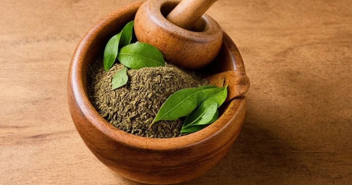 ਪਿੰਡਾ ਤਿਲਕਮ ਦੇ ਫਾਇਦੇ, ਗੁਣ ਅਤੇ ਪਿਟਾ ਜਾਂ ਗੌਟ ਦੇ ਦਰਦ ਲਈ ਵਰਤੋਂ — ਆਯੁਰਵੈਦਿਕ ਜੜੀ-ਬੂਟੀ