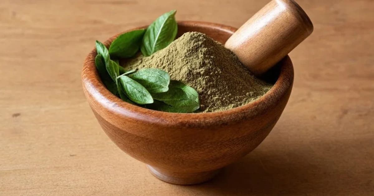 Agastya (Sesbania grandiflora) — Ayurvedic Herb