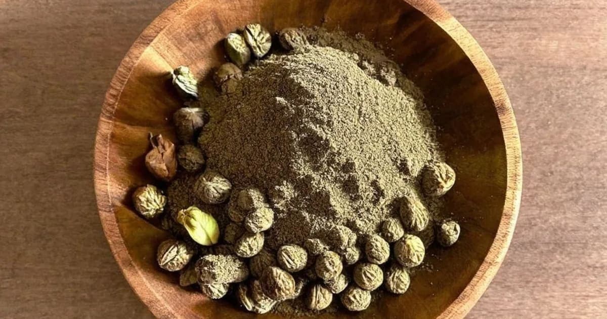 Bibhitaki — Ayurvedic Herb