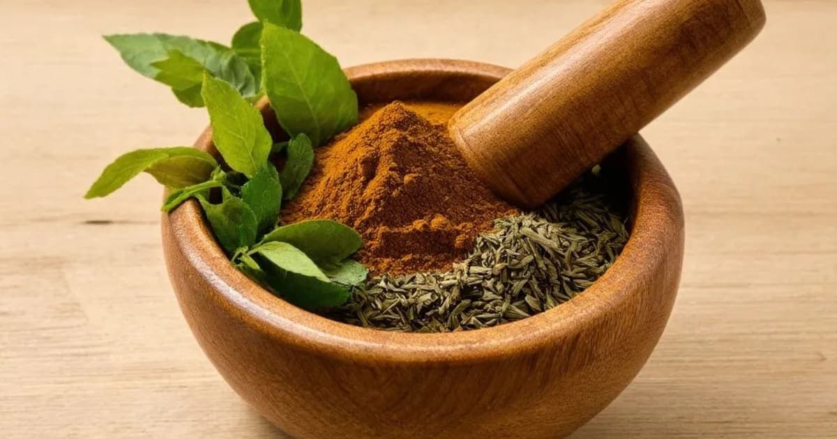 Kalmegh — Ayurvedic Herb