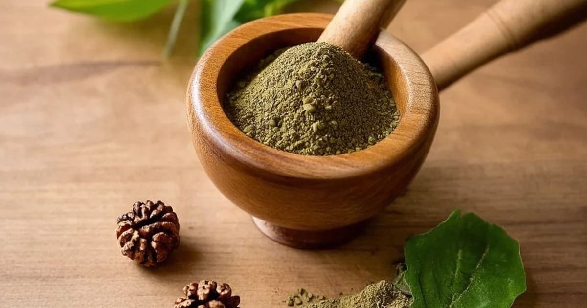 Rudraksha — Ayurvedic Herb