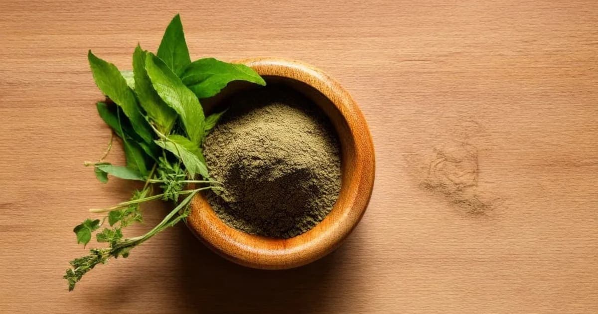 Vyaghri Haritaki — Ayurvedic Herb