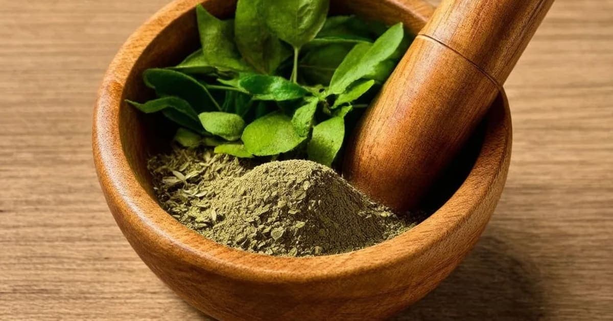 Hingupatri — Ayurvedic Herb