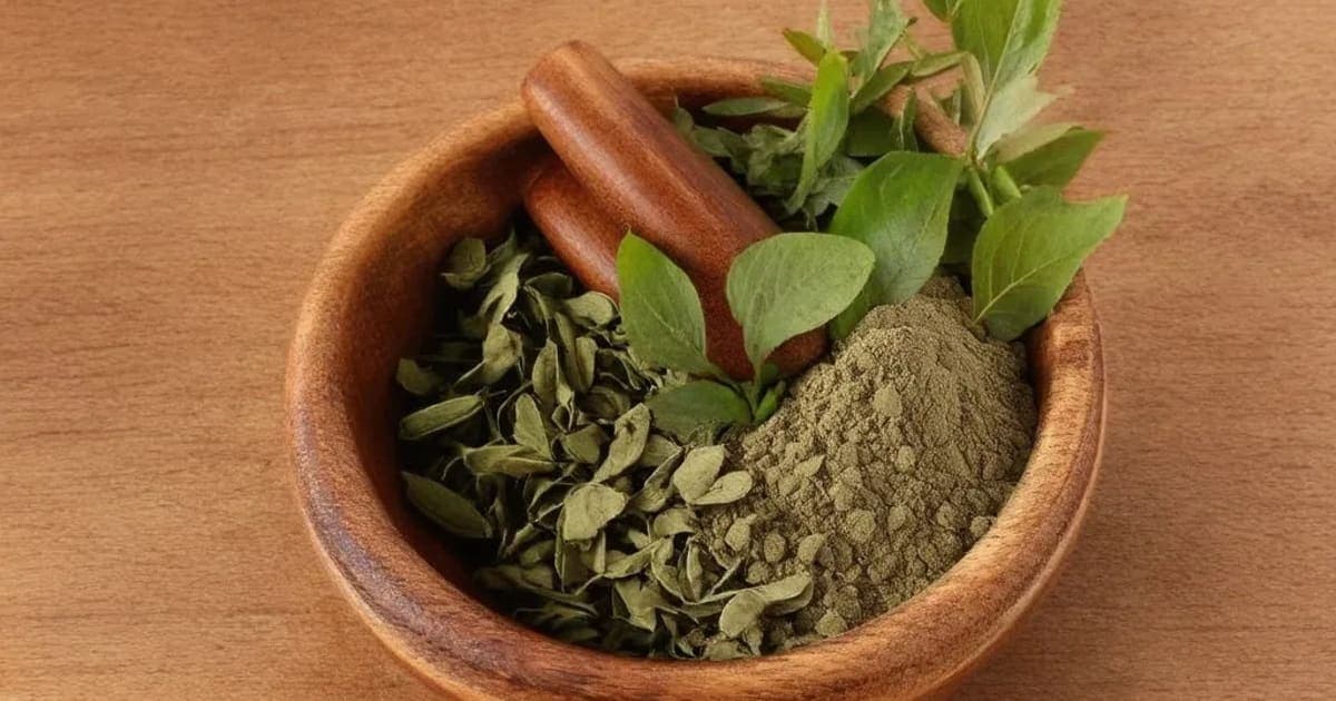 Masi (Charcoal) — Ayurvedic Herb
