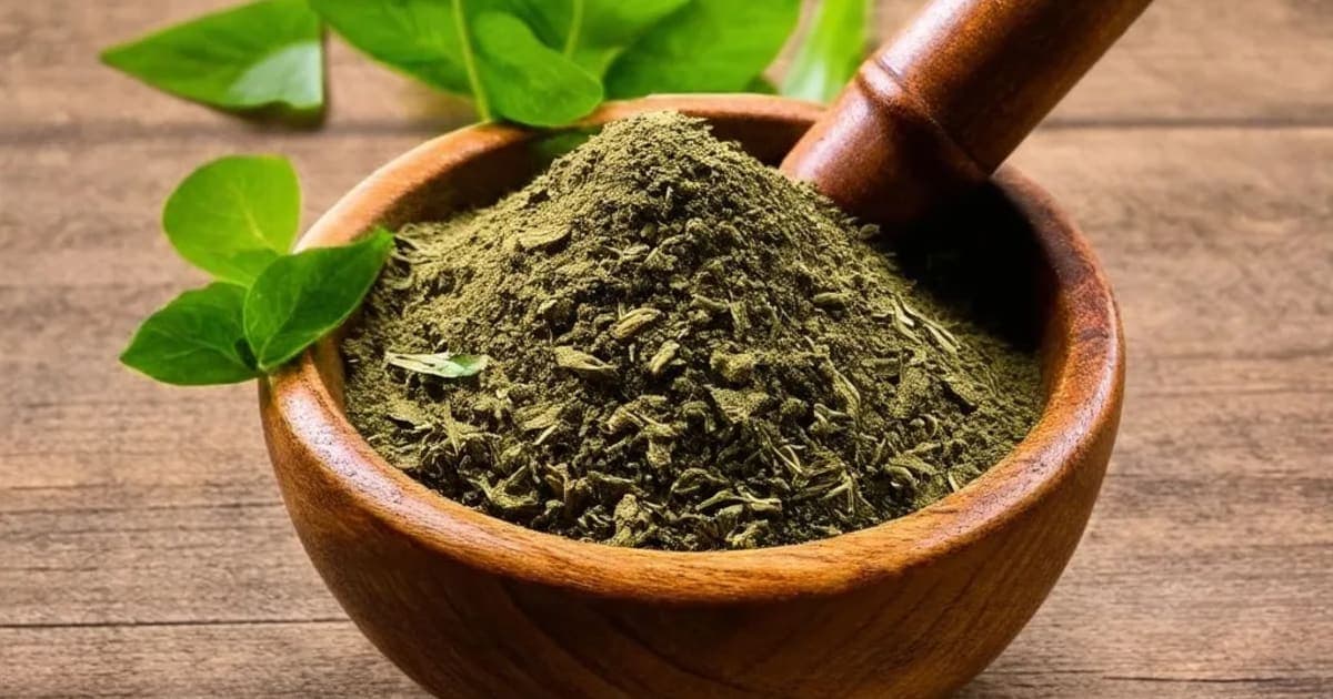 Dhatri Loha — Ayurvedic Herb