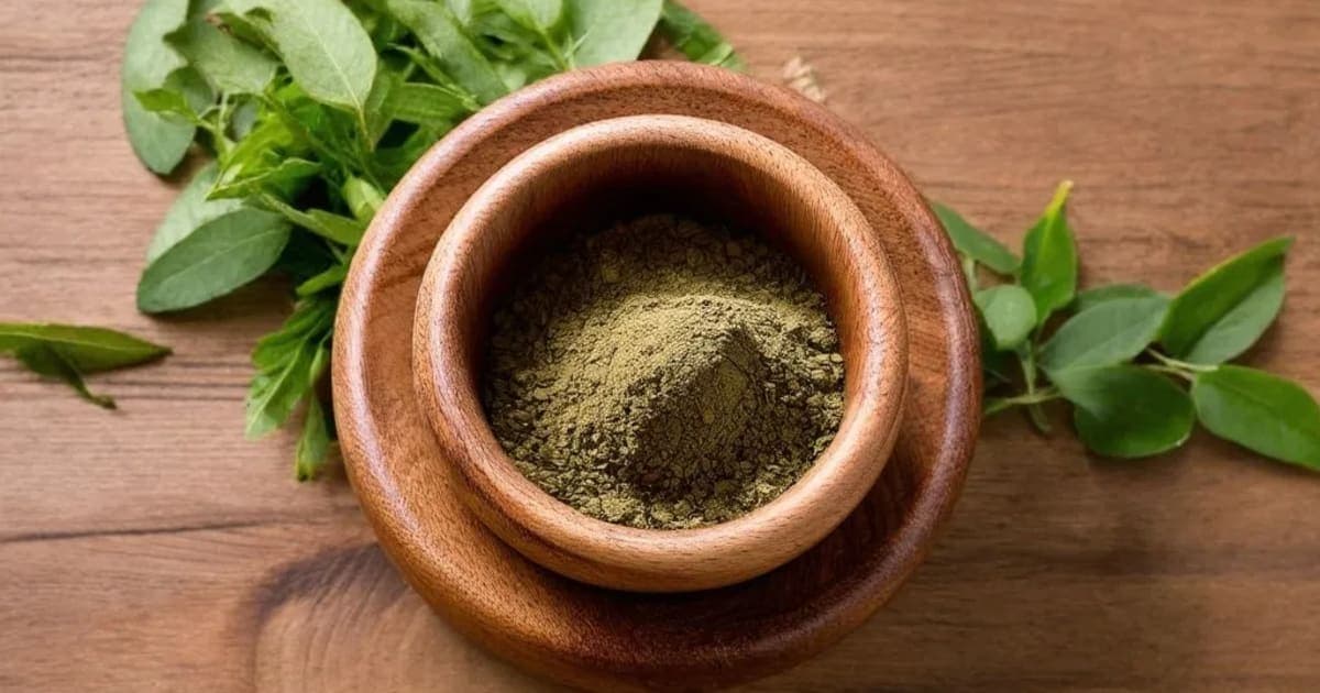 Danti Moola — Ayurvedic Herb