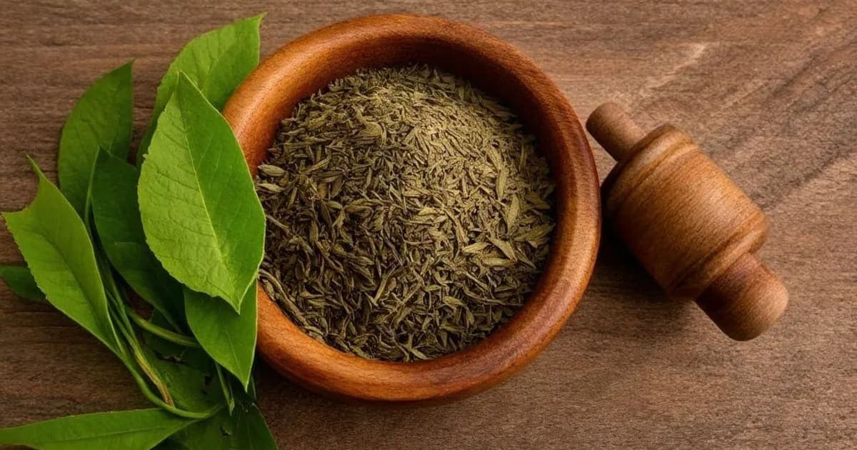 Arka Ksheera — Ayurvedic Herb