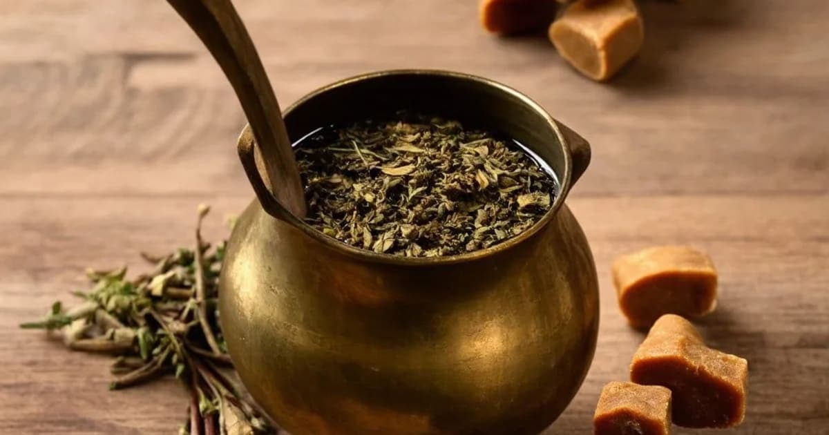 Dashamularishta — Ayurvedic Herb